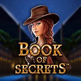 Try Book of Secrets slot by SYNOT Games on reipas-casino.fi – logo image